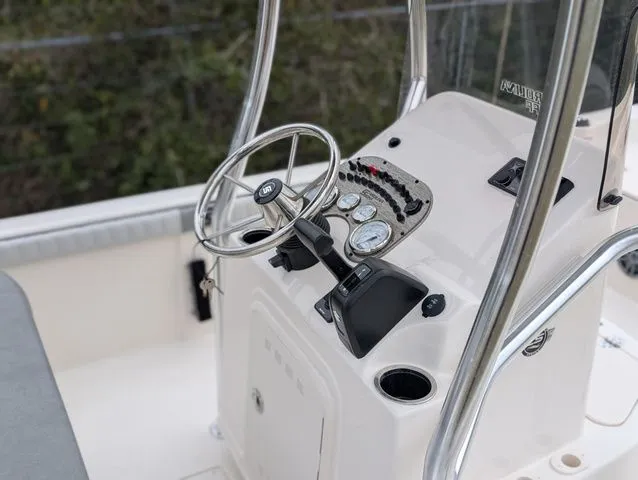 Slide: The Image of Carolina 21LS 2026 - 4