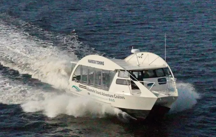 The Image of 2023 Smoky Mountain asymmetrical foil-assisted catamaran cruising on water. - 0