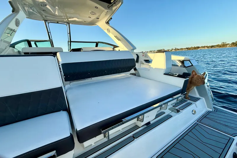 Slide: The Image of 2022 Monterey 385SS Super Sport boat interior with a cat enjoying the view. - 22