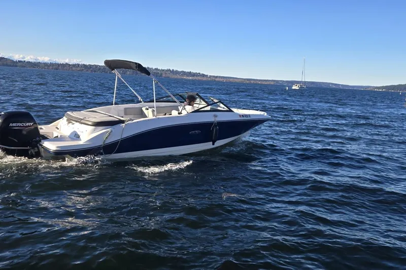Slide: The Image of 2023 Sea Ray SPX 210 Outboard boat cruising on a sunny lake. - 3