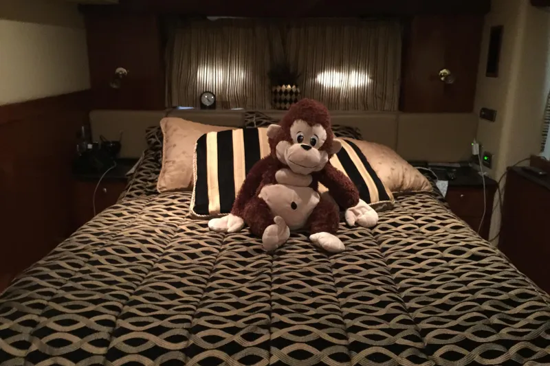 Slide: The Image of Plush monkey on bed in 2006 Meridian 408 Motoryacht cabin, with patterned bedding. - 19