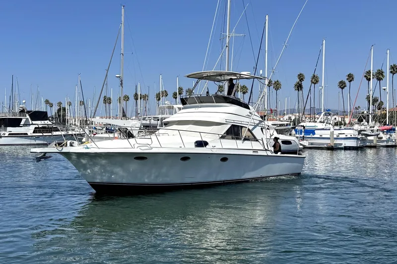The Image of 1990 Trojan 40 Sport Fisherman yacht in a marina, surrounded by sailboats and palm trees. - 0