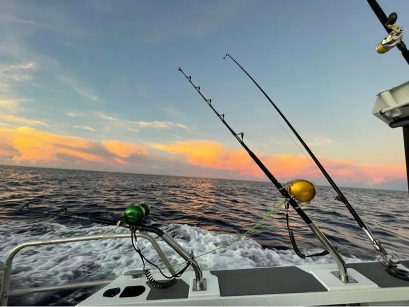 Slide: The Image of Stabi-Craft 2500 Ultracab XL 2021 - 16