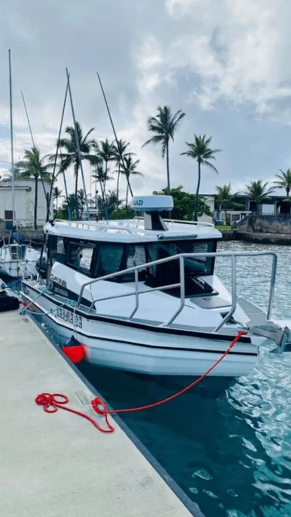 Slide: The Image of Stabi-Craft 2500 Ultracab XL 2021 - 33