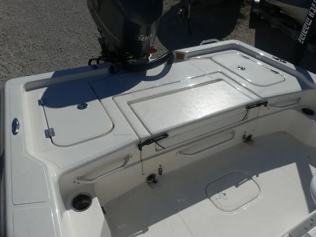 Slide: The Image of Skeeter SX241 2025 - 6