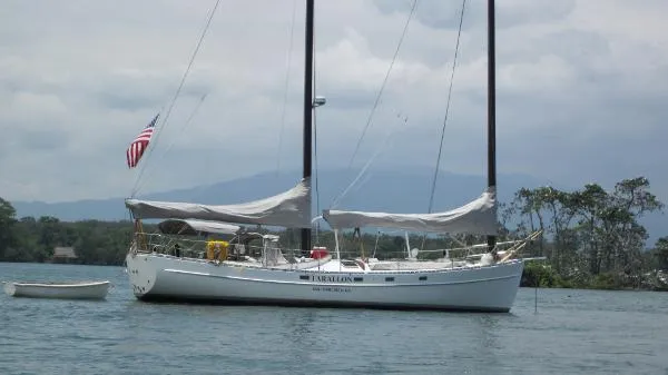 Slide: The Image of Freedom Cat Ketch 1983 - 0