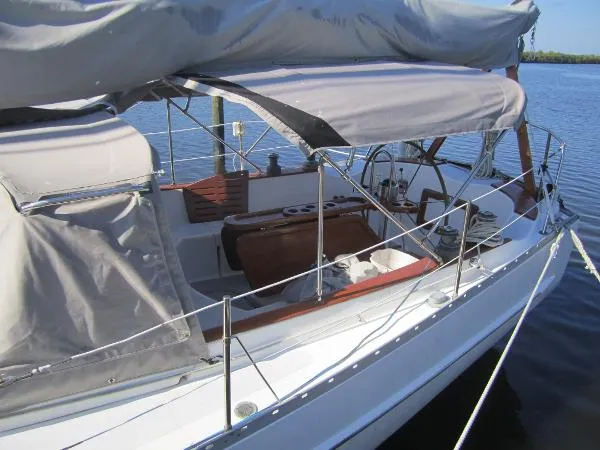 Slide: The Image of Freedom Cat Ketch 1983 - 2