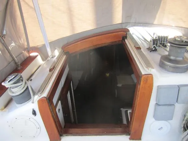 Slide: The Image of Freedom Cat Ketch 1983 - 8