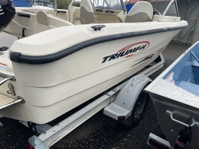 Slide: The Image of Triumph 191 Fish 2004 - 5