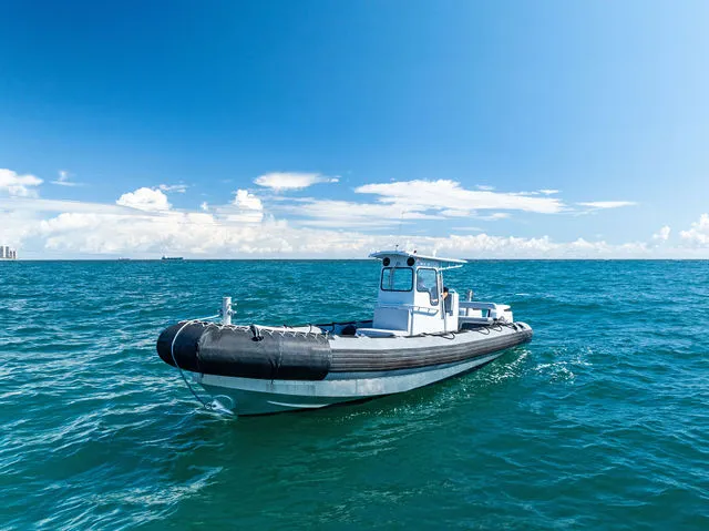 Slide: The Image of Zodiac Cadet AERO 310 Aero /10’2” 2026 - 3