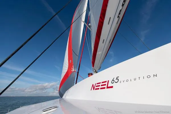 Slide: The Image of Neel 65 Evolution 2019 - 11