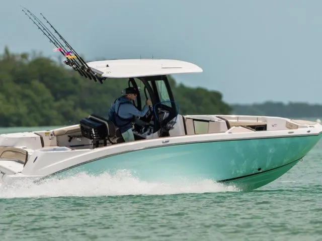 Slide: The Image of Yamaha 255 FSH Sport E 2025 - 27