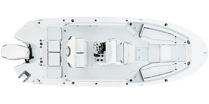 The Image of CC 236 2024 - 1