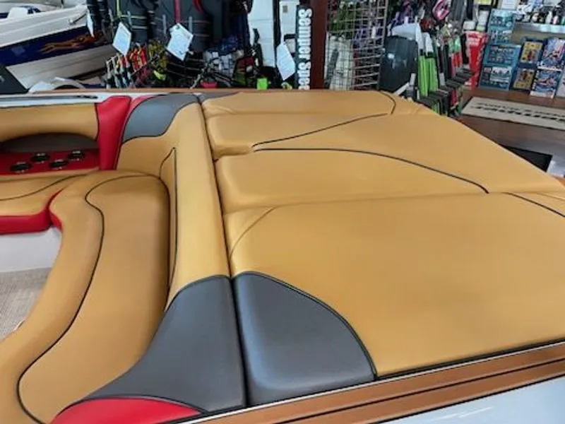 Slide: The Image of Sanger V215 S 2022 - 7