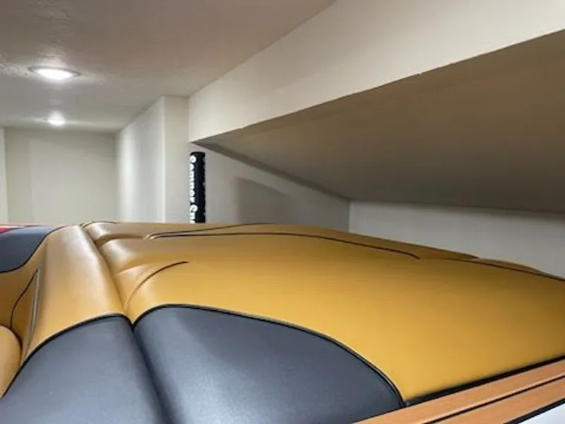 Slide: The Image of Sanger V215 S 2022 - 8