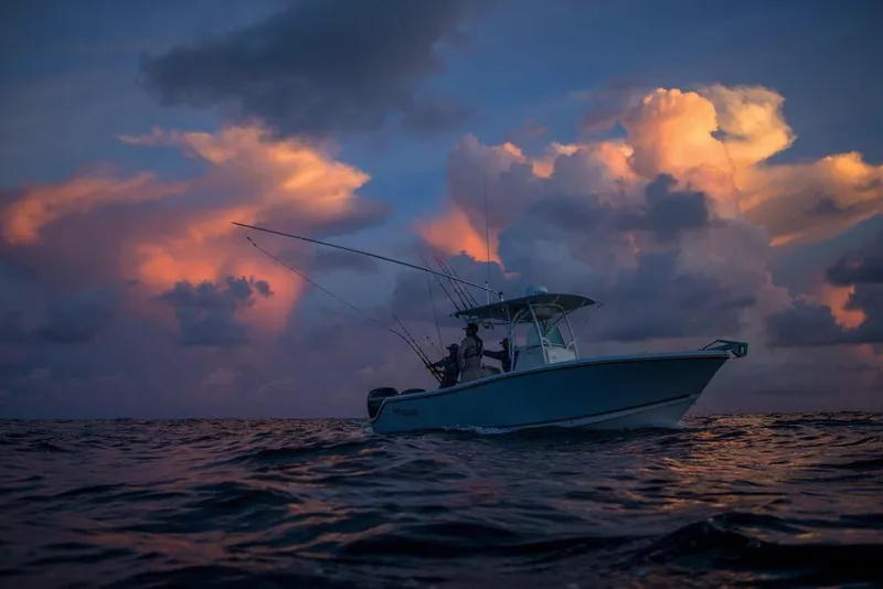 Slide: The Image of Manufacturer Provided Image - 10