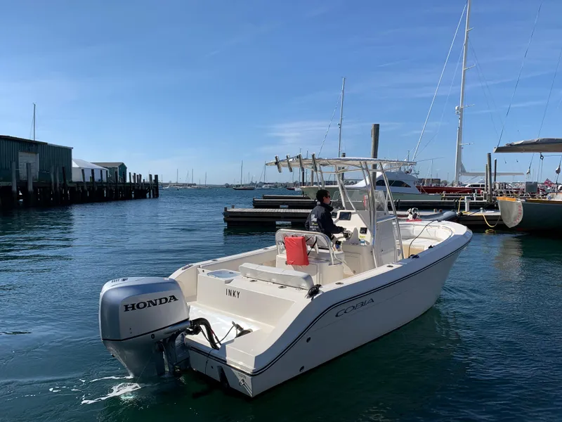 Slide: The Image of 2020 Cobia 237 Center Console boat on calm water. - 8