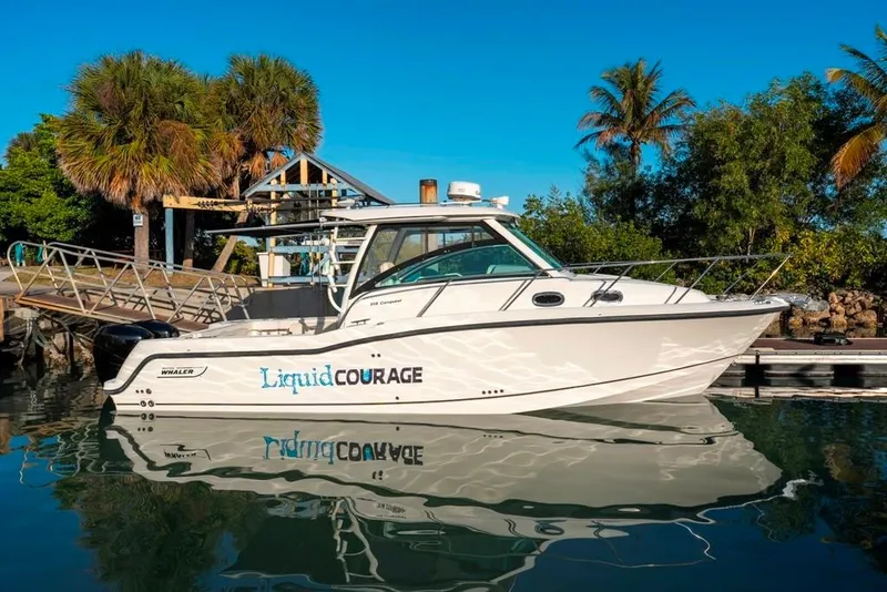 Slide: The Image of 2014 Boston Whaler 315 Conquest boat docked, surrounded by palm trees and clear blue sky. - 13