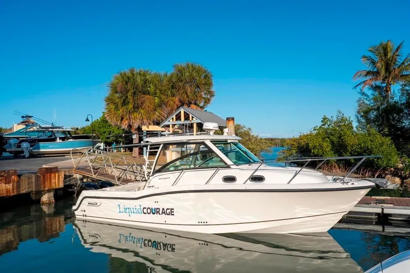 Slide: The Image of 2014 Boston Whaler 315 Conquest boat docked near tropical trees and clear blue sky. - 14