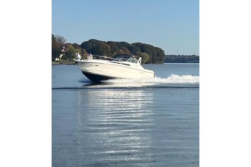 The Image of 1988 Sea Ray 390 Express Cruiser on calm water, cruising near shoreline. - 0