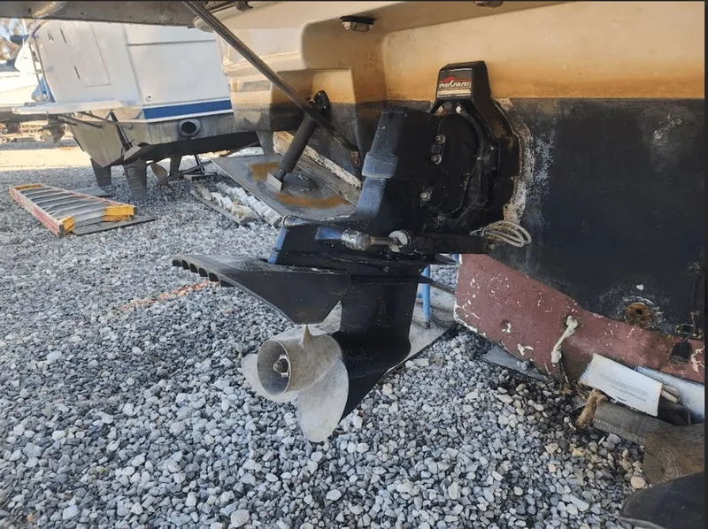 Slide: The Image of Regal Commodore 322 1995 - 10