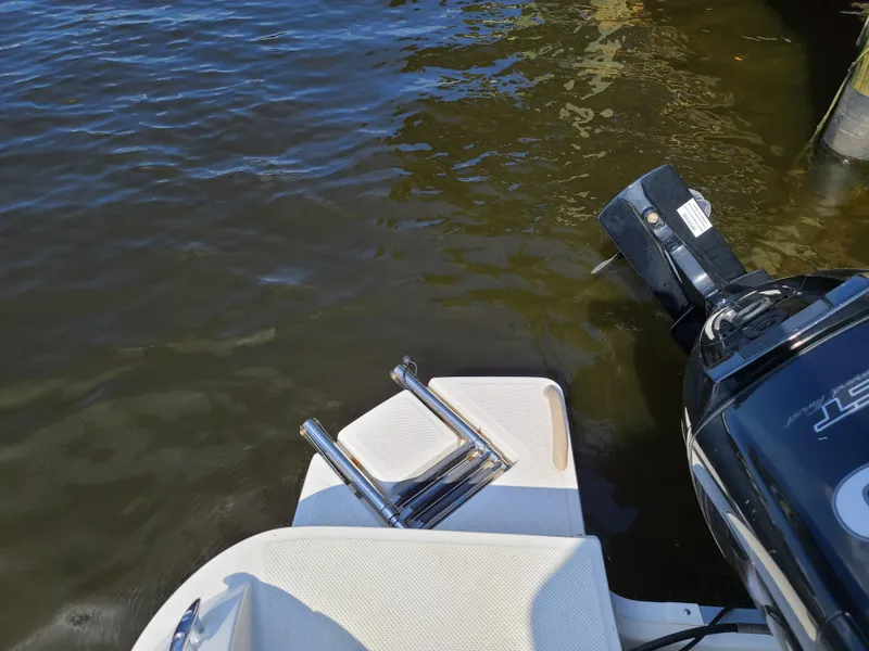 Slide: The Image of 2019 Bayliner Element E16 boat with bimini top in marina setting. - 15