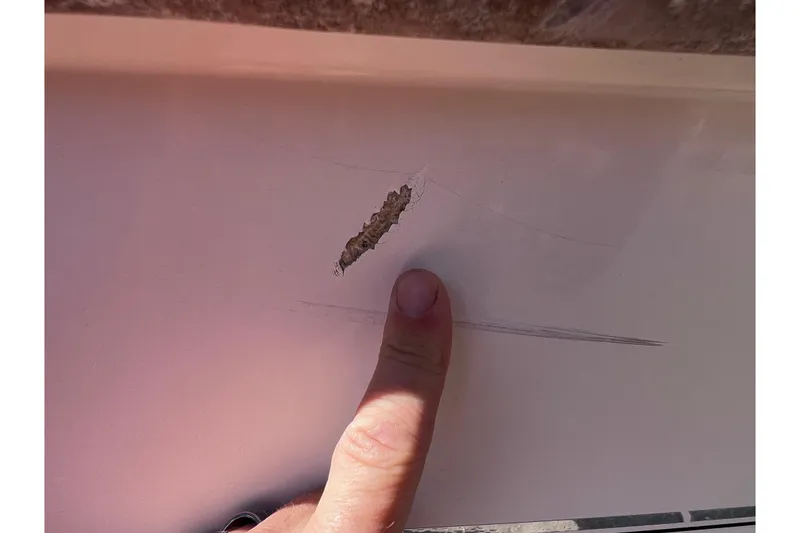 Slide: The Image of Close-up of damage on 2008 Scout 205 Dorado boat hull with finger pointing. - 9