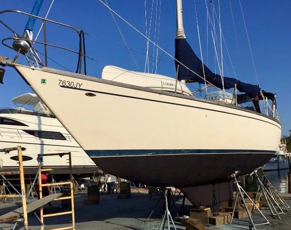 Slide: The Image of Tartan 37 1976 - 0