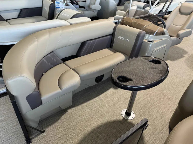 Slide: The Image of Sylvan MIR8522CLZDH/TT 2025 - 3