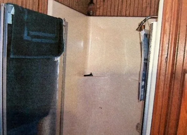 Slide: The Image of Jamestowner Veteran 64 1996 - 6