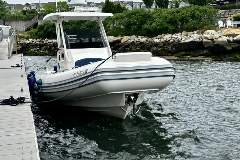 Slide: The Image of 2022 Brig Eagle 8 boat docked by a wooden pier, surrounded by water and greenery. - 6