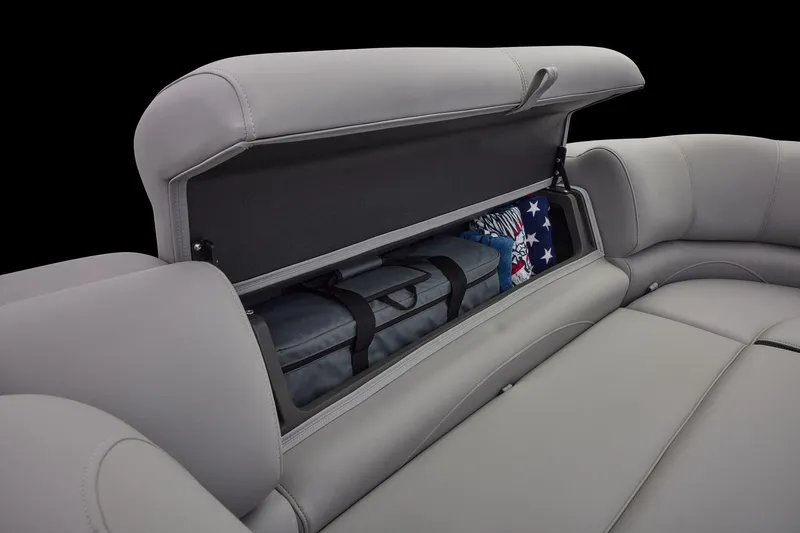 Slide: The Image of Regency 250 DL RF 2026 - 23