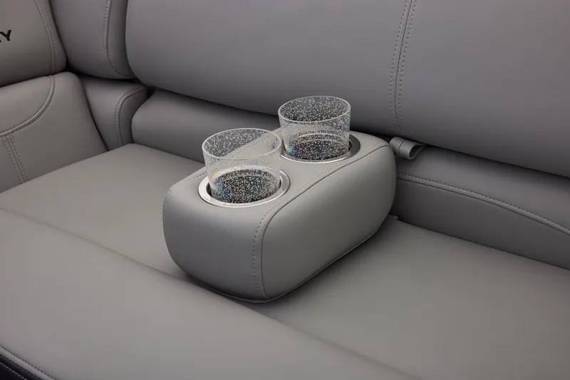 Slide: The Image of Regency 250 DL RF 2026 - 24