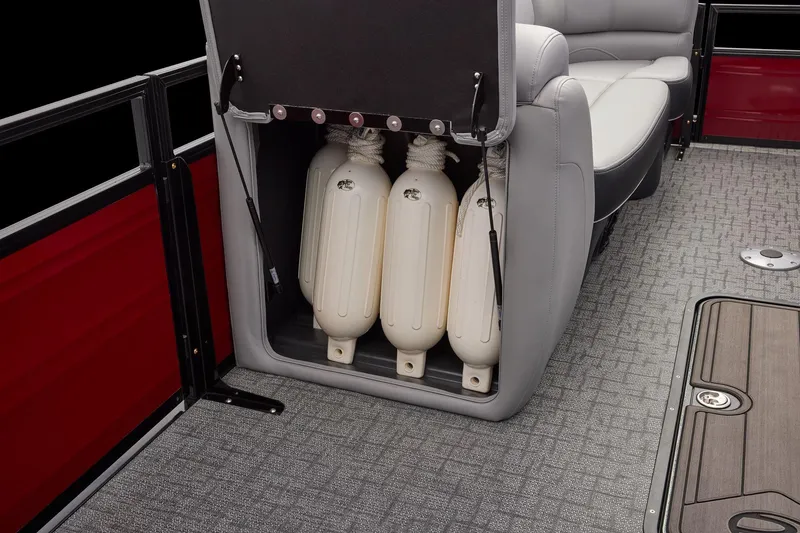 Slide: The Image of Regency 250 DL RF 2026 - 28