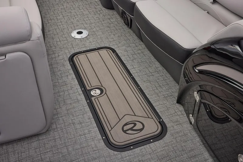 Slide: The Image of Regency 250 DL RF 2026 - 29