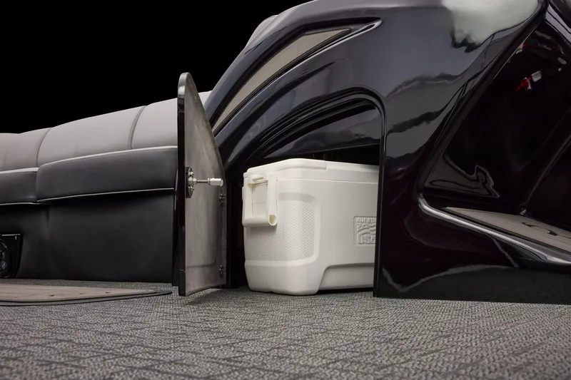 Slide: The Image of Regency 250 DL RF 2026 - 37