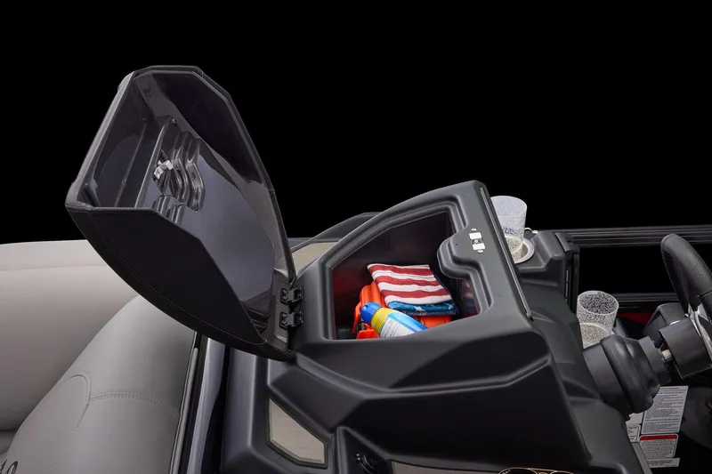 Slide: The Image of Regency 250 DL RF 2026 - 45