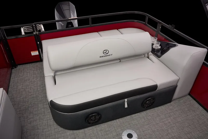 Slide: The Image of Regency 250 DL RF 2026 - 53