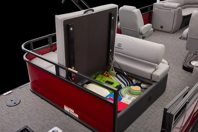 Slide: The Image of Regency 250 DL RF 2026 - 60