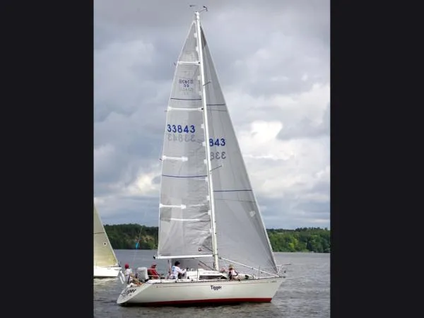 Slide: The Image of C&C 33 1984 - 8