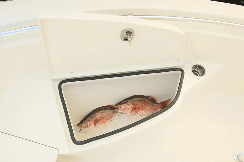 Slide: The Image of Manufacturer Provided Image: 2019 Cobia 220 Center Console fish storage compartment with fresh catch. - 9