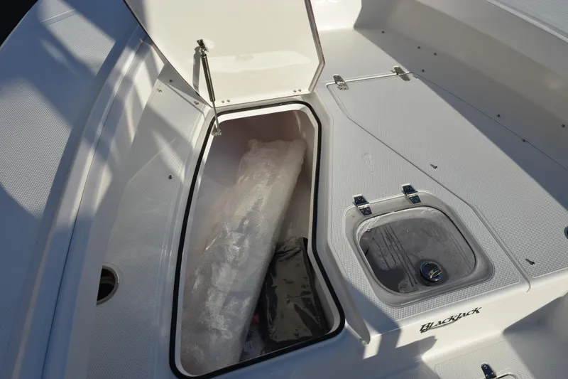 Slide: The Image of Open storage compartment on 2026 BlackJack 256 Coastal boat, showcasing spacious interior design. - 13