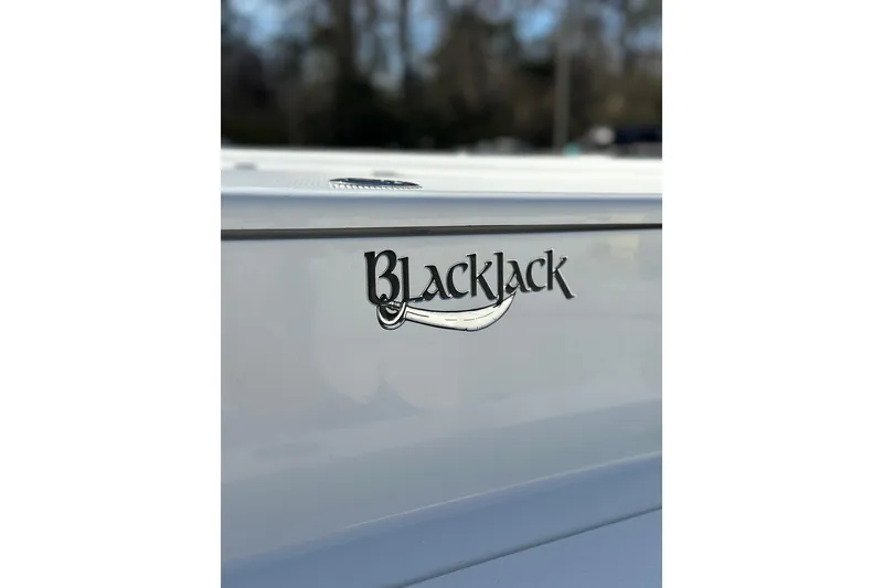 Slide: The Image of BlackJack 224 boat logo on sleek white surface, 2025 model. - 8