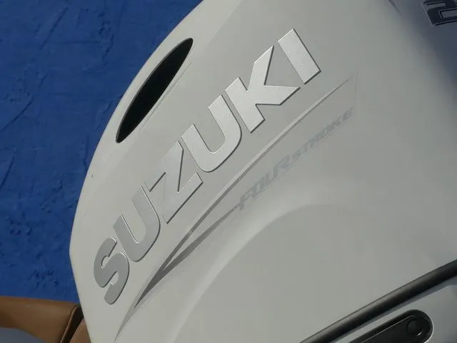 Slide: The Image of Pioneer 222 Islander 2026 - 9