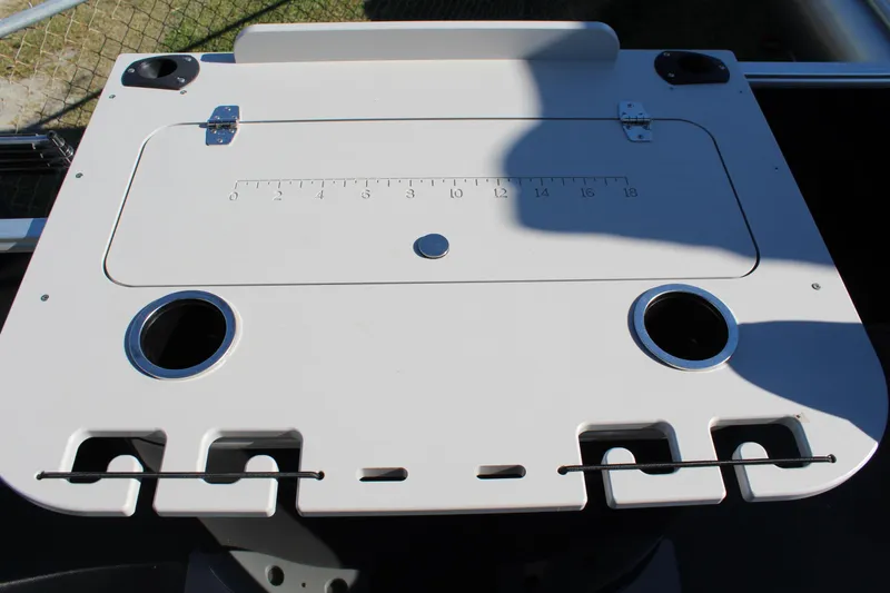 Slide: The Image of Sylvan Mirage 820 PARTY FISH - 3