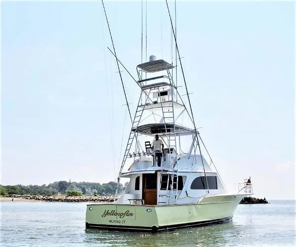Slide: The Image of Buddy Davis 47 Sportfish 1988 - 5
