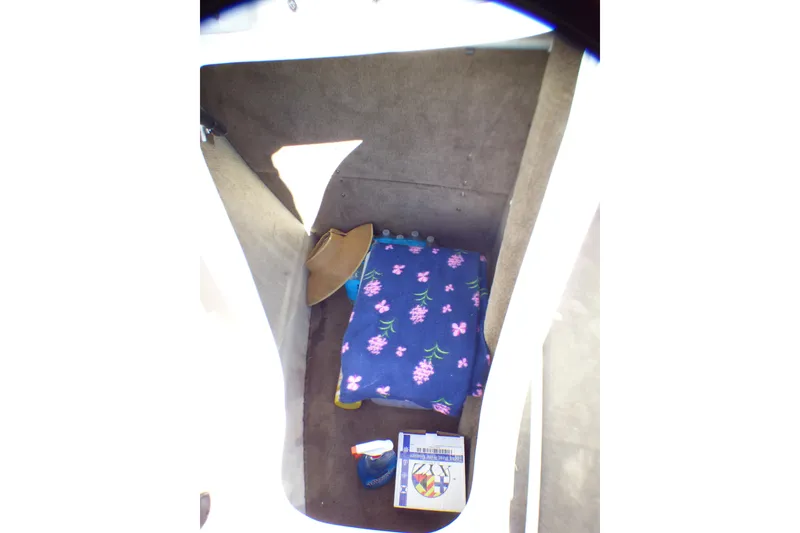 Slide: The Image of Storage compartment in a 2008 Cobalt 212 boat with floral blanket and cleaning supplies. - 31