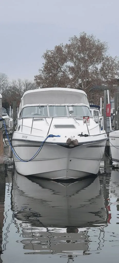 The Image of Chaparral Signature 1999 - 0