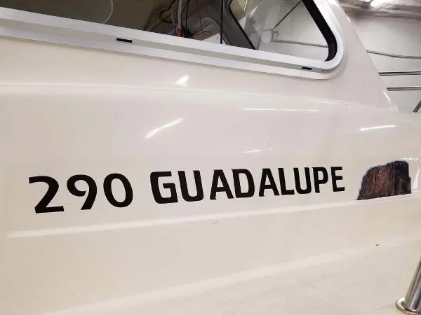 Slide: The Image of Defiance Guadalupe 290X 2015 - 4
