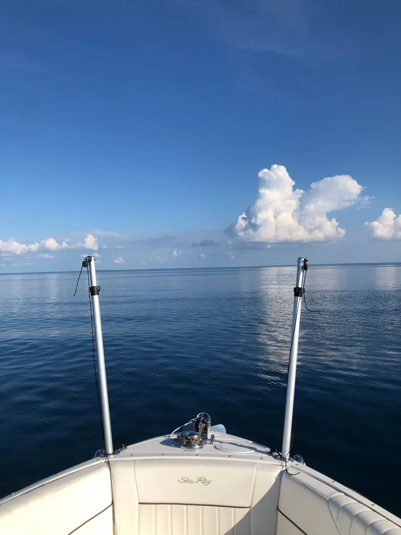 Slide: The Image of Sea Ray SLX 250 2009 - 15